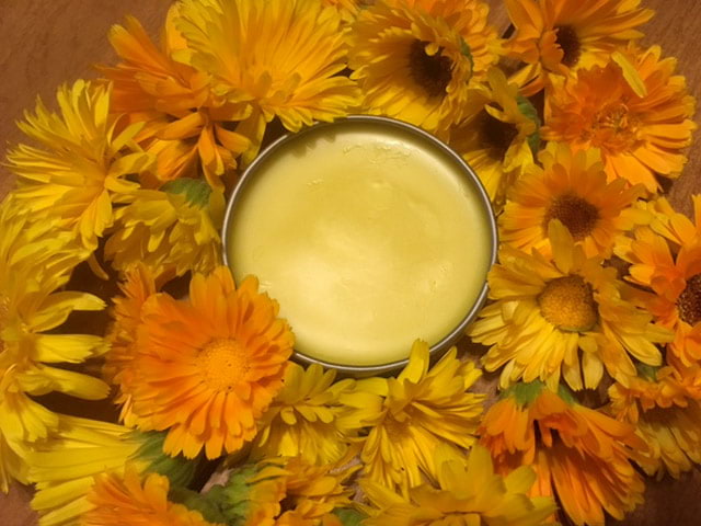 calendula salve surrounded by calendula flowers