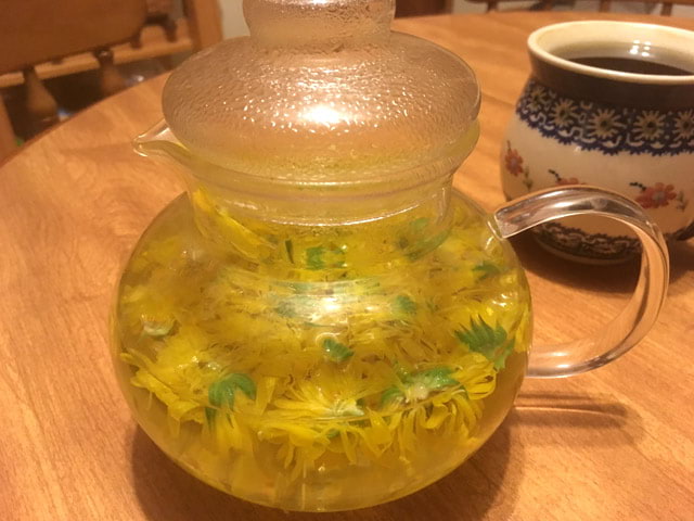 calendula tea steeping in a glass tea pot on a table