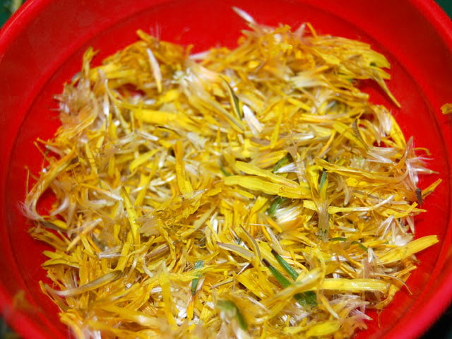 dandelion petals in a bowl