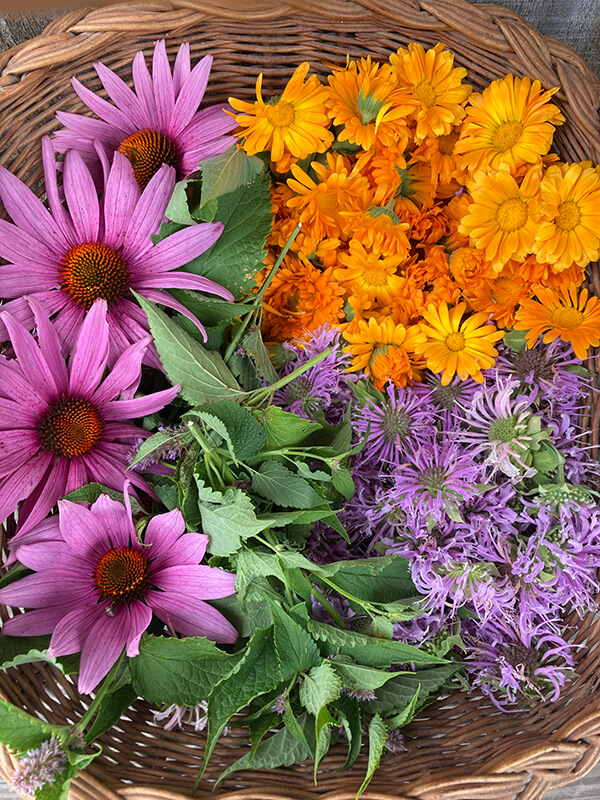 flowers and herbs