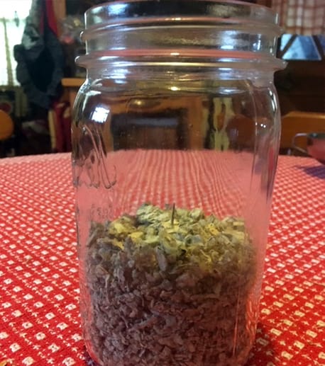 dried mullein in a jar