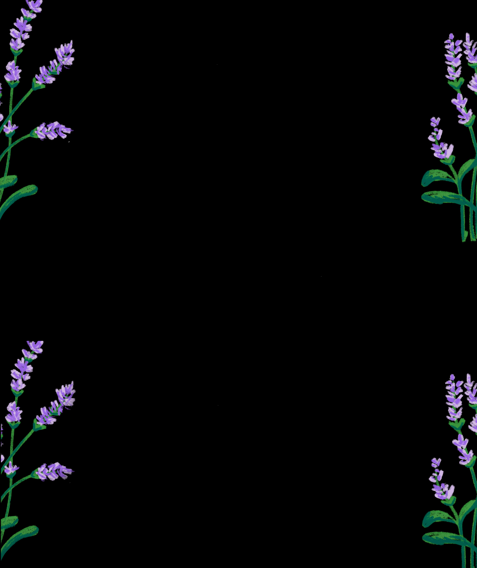 black background with lavender